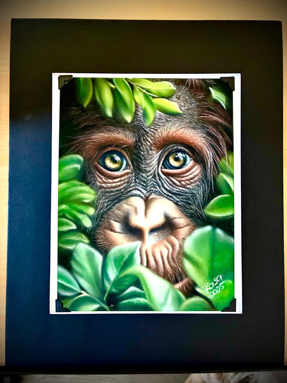 Innocence in the Jungle